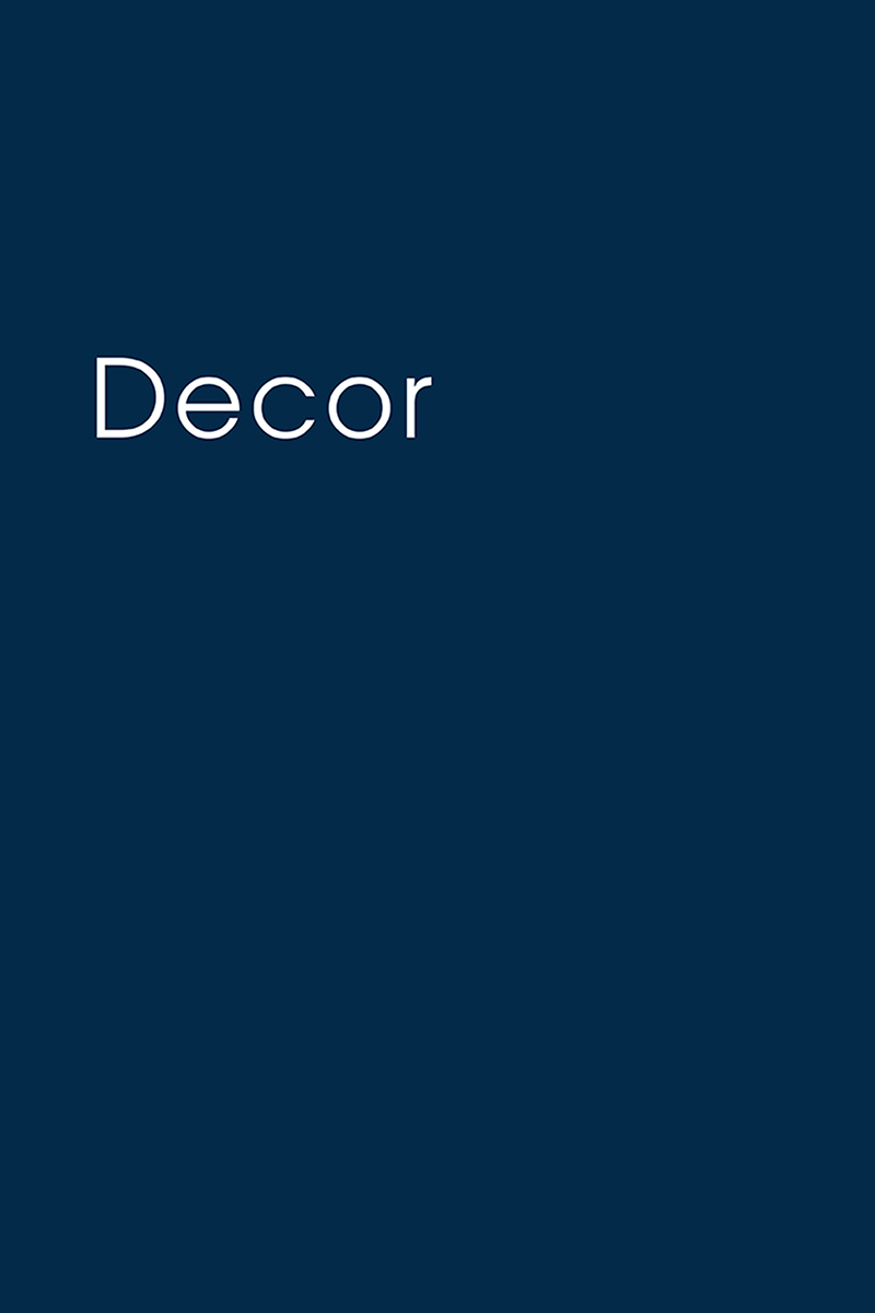 CONCEPT CURIO