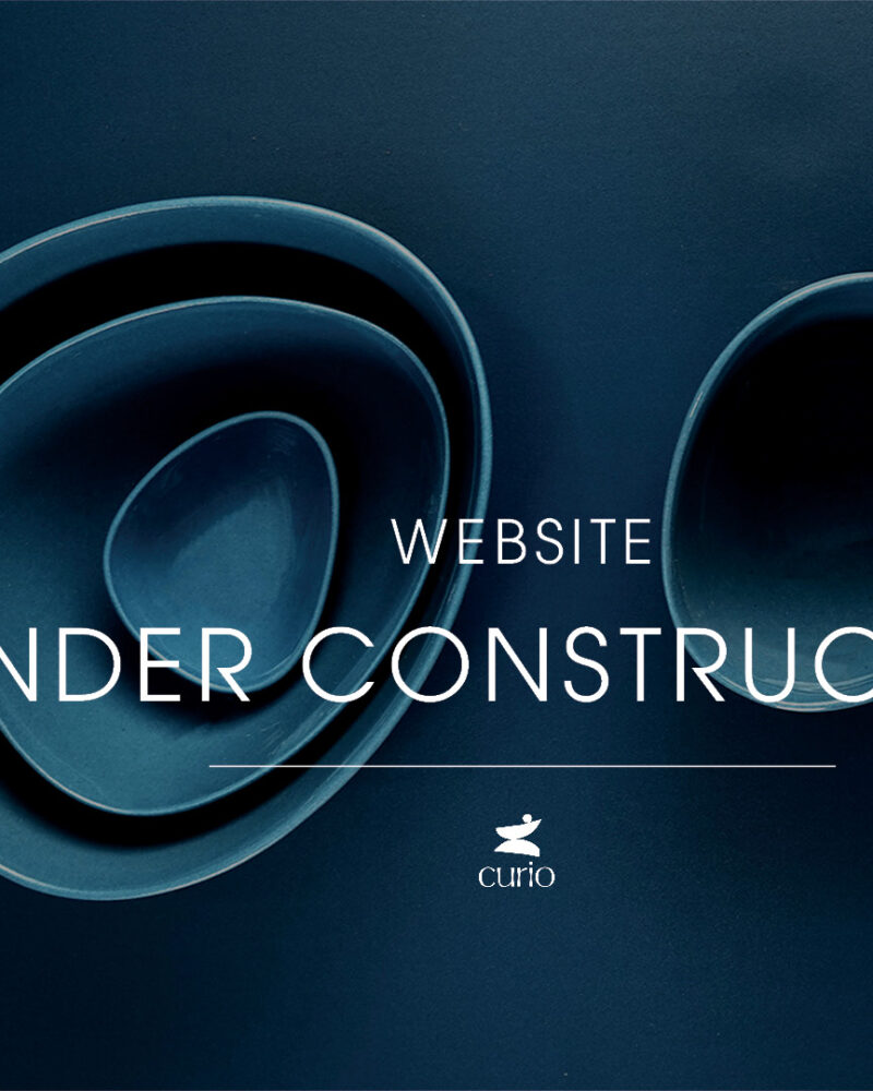 CONCEPT CURIO